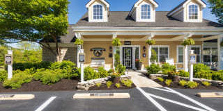 The Trails of Saddlebrook Gallery 70