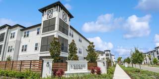 Ascend Nona West Gallery 37