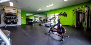 Woodbridge Gallery 34