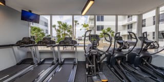 The Six13 The Six13 Gallery 23