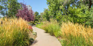 IMT Cherry Creek Gallery 39