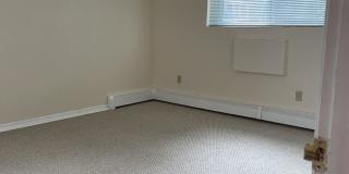 Graduate and Professional Gallery 155