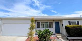 5 Bedroom House w/ A/C + Laundry in College East - Bright and Airy on Quiet Street! Gallery 1