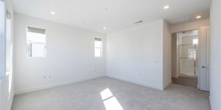 412 Flycatcher Gallery 25