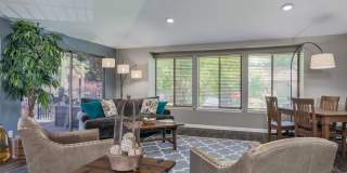 Forest Ridge Gallery 11