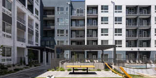 RYE Central Park Gallery 9