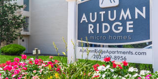 Autumn Ridge Gallery 1