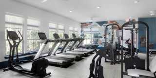 Alleia Luxury Apartments Gallery 14