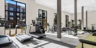 Alta Magnolia Gallery 41