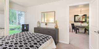 Santa Teresa Gallery 7