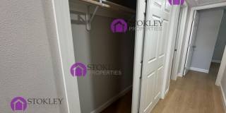 6346 Escallonia Drive Gallery 16