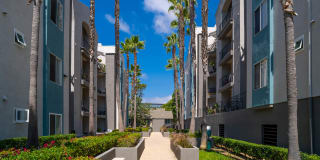 Del Mar Ridge Gallery 1