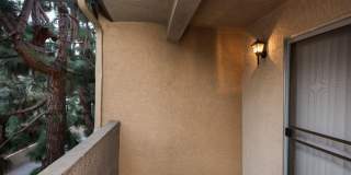 Elan View Pointe Gallery 24