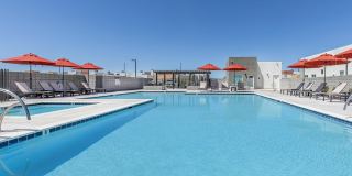 Brioso at the Bridges Gallery 49