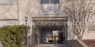 The Ivy on 5th Gallery 201