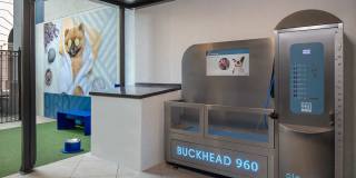 Buckhead 960 Gallery 18