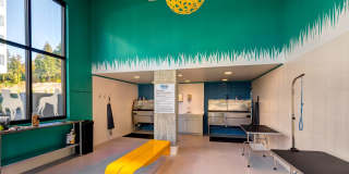 Avalon Esterra Park Gallery 35