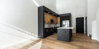 NOVEL Scotts Addition Gallery 5