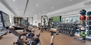 The Fitzgerald Gallery 21