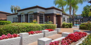 Portofino Gallery 19