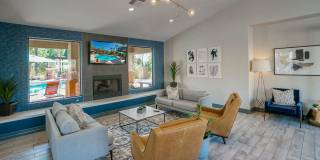 The Enclave Gallery 18