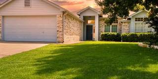 AVAILABLE NOW ! Gallery 1