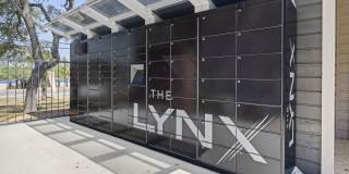 The Lynx The Lynx Gallery 4