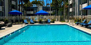 Los Arboles Apartments Gallery 6