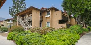 Citrus Place Gallery 62