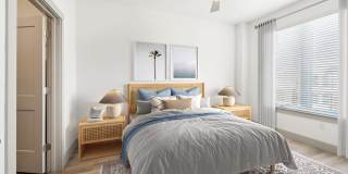 The Point on 38th Gallery 24