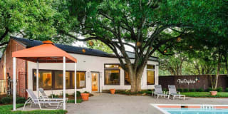 The Daphne Apartments Gallery 23