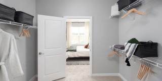 Alta Davis Gallery 11