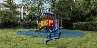 Whispering Lake Gallery 17