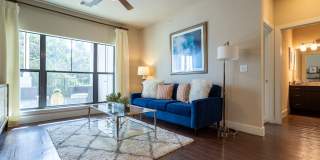 Estates at Bee Cave Gallery 22