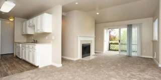 The Signature Gallery 11