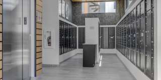 Terra Vista Gallery 39