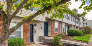 The Everett Gallery 29