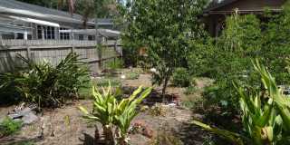 1 bed / 1 bath rental in Seminole Heights Gallery 13