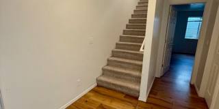 3 Bedroom 2 Bathroom Pet Friendly-Belgrade Gallery 13