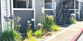 Camino Woods Gallery 14