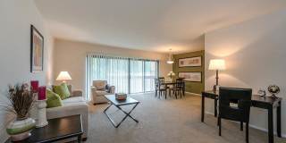 Rollingwood Gallery 12