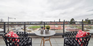 Sunset Terrace Gallery 10