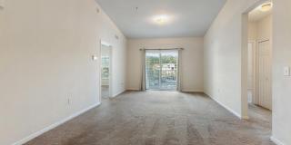 8201 GREEN PARROT Road unit: 307 Gallery 6