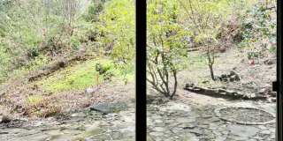 2 Bed / 2 Bath Lakeview Bellevue cottage $3,295/month Gallery 13