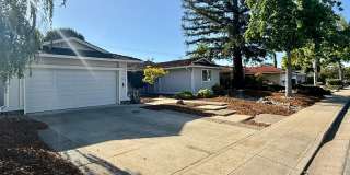 Beautiful 4 Bedroom 2 Bath Home in Desirable Sunnyvale Neighborhood Gallery 3