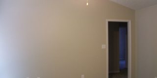 JACKS FORD Gallery 11