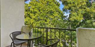 Live the American Riviera Experience! Live the American Riviera Experience! Gallery 19