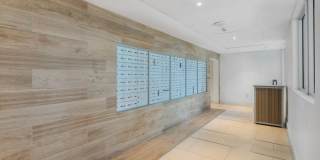 Wake Biscayne Bay Gallery 33