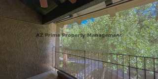 5525 East Thomas Road Gallery 13
