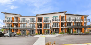 Allegro Lynwood Gallery 82